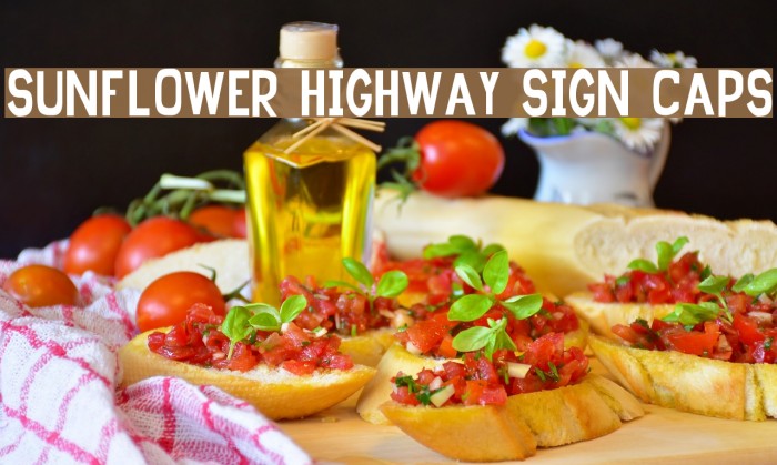 Sunflower Highway Sign Caps Font examples