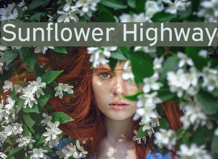 Sunflower Highway Font examples