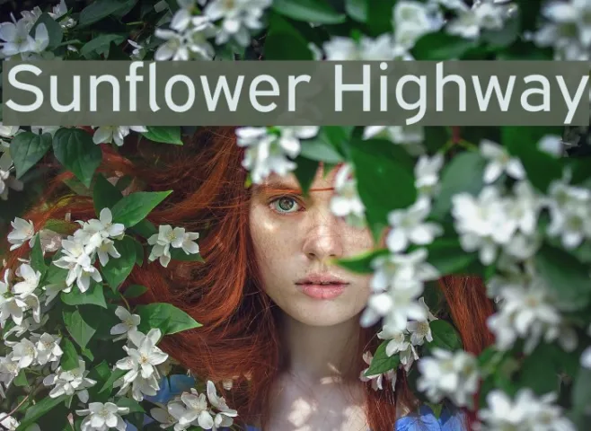 Sunflower Highway Example 1