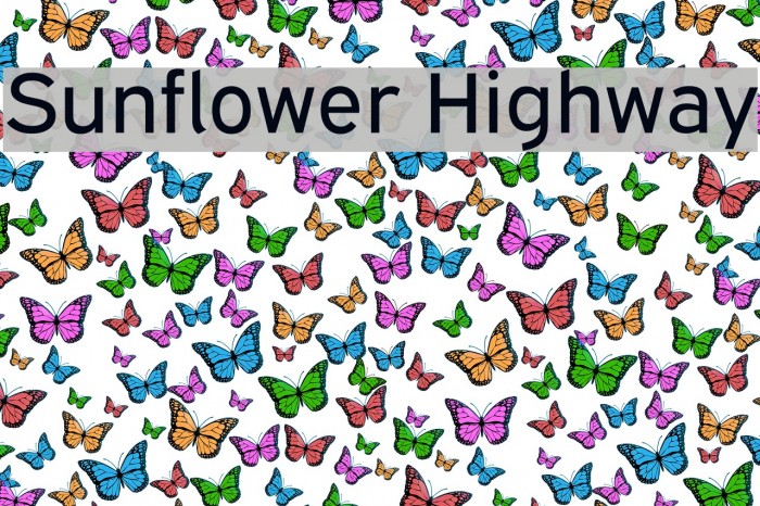 Sunflower Highway Font examples