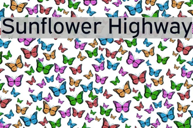 Sunflower Highway Example 2