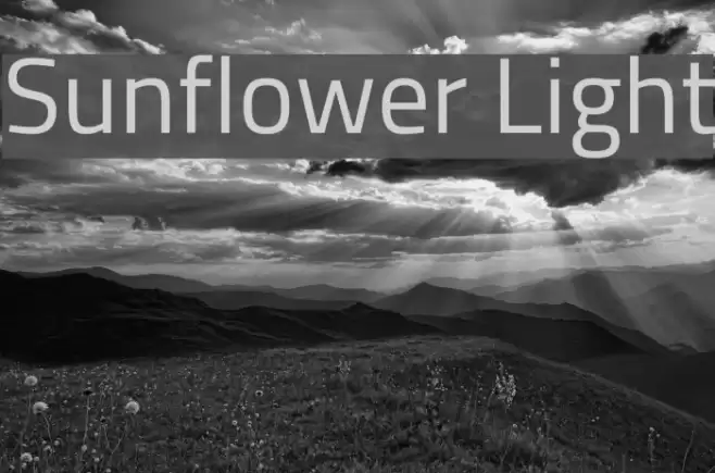 Sunflower Light Font examples