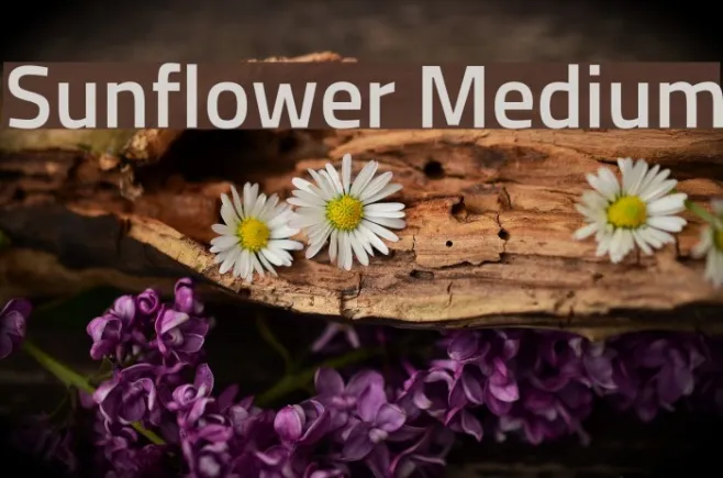 Sunflower Medium Example 2