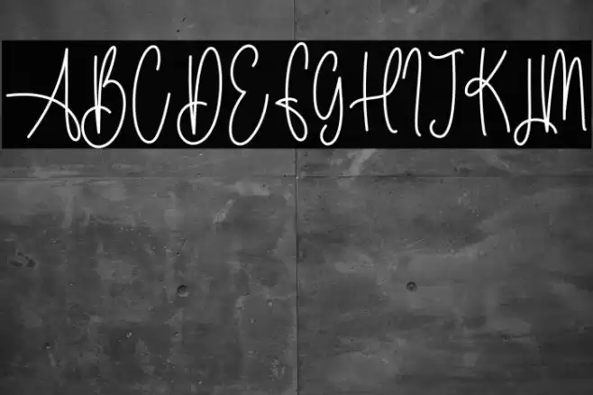 Sunflower Signature Шрифта examples