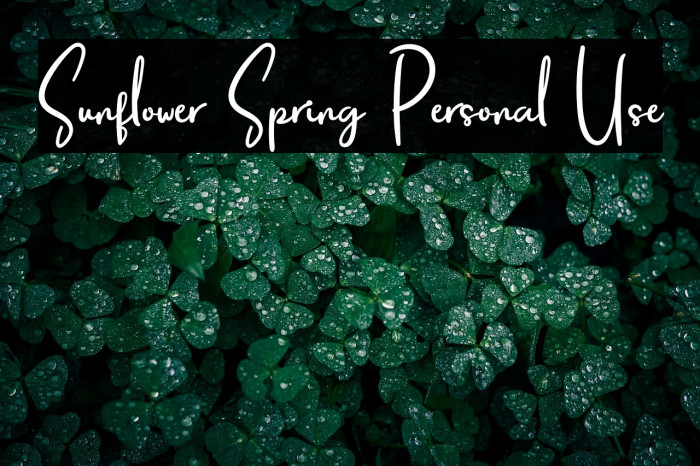 Sunflower Spring Personal Use Example 2