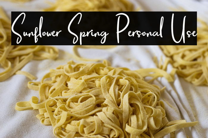 Sunflower Spring Personal Use Example 3