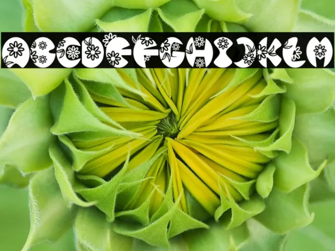 Sunflower Example 2