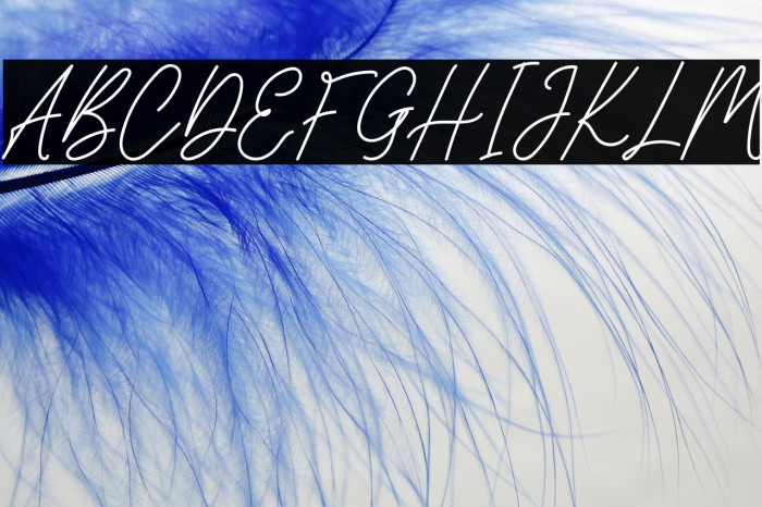 SunflowerFREE Example 1