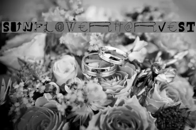 SunflowerHarvest Font examples