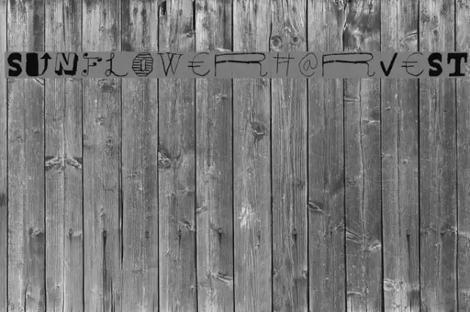 SunflowerHarvest Font examples