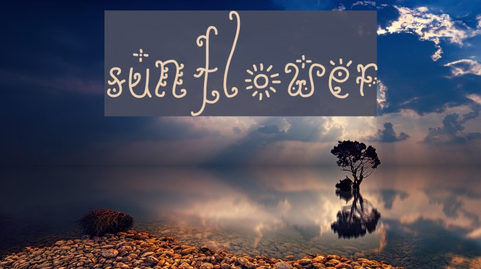 Sunflower Font examples