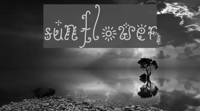 Sunflower Font examples