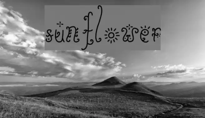 Sunflower Font examples