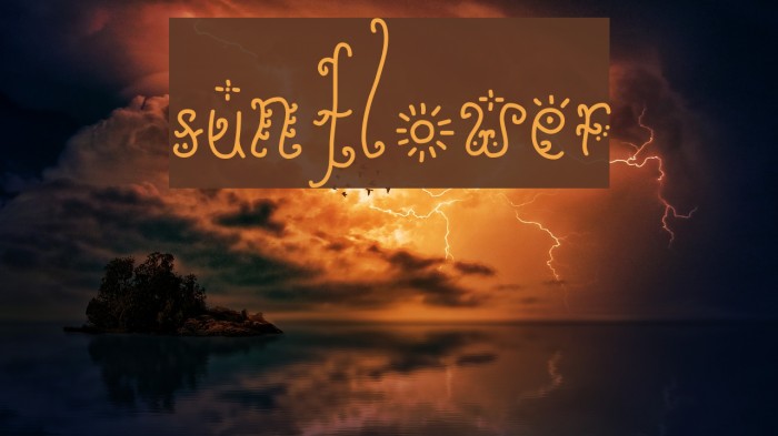 Sunflower Font examples