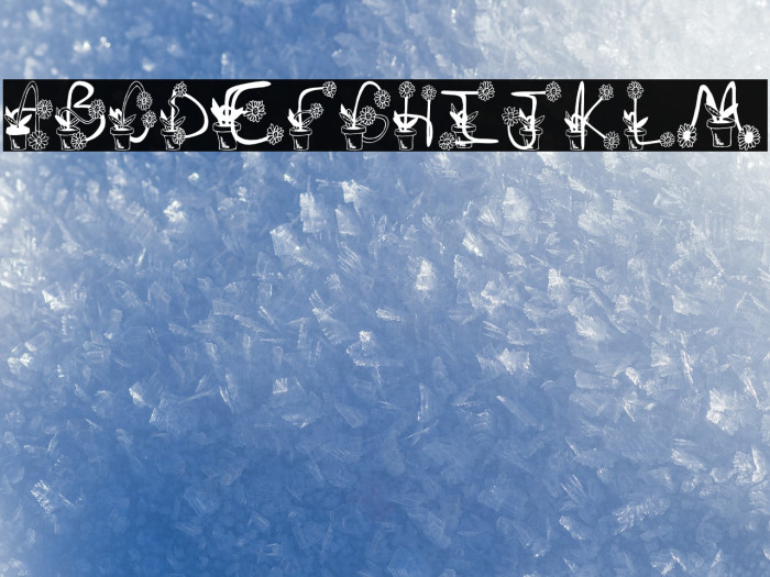 Sunflowers Font examples