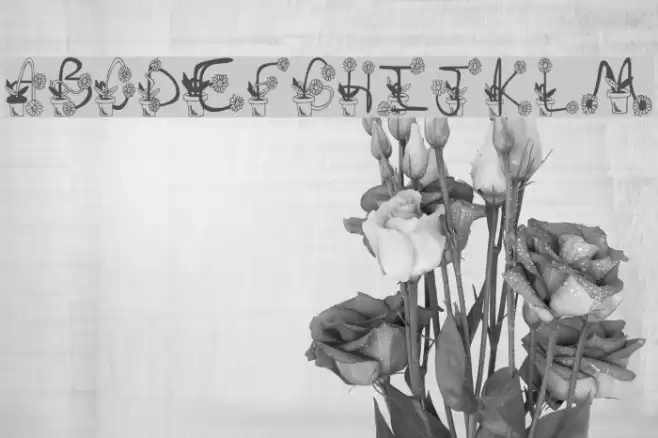 Sunflowers Font examples