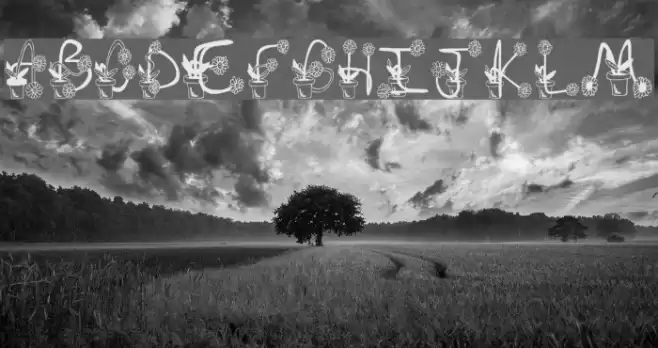 Sunflowers Font examples