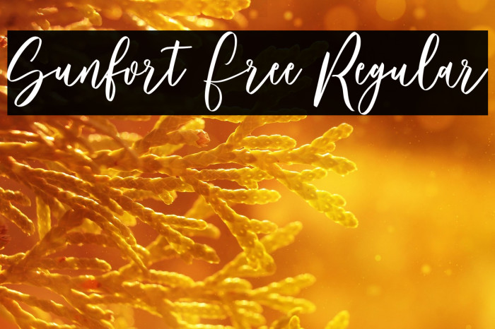 Sunfort Free Regular Example 3