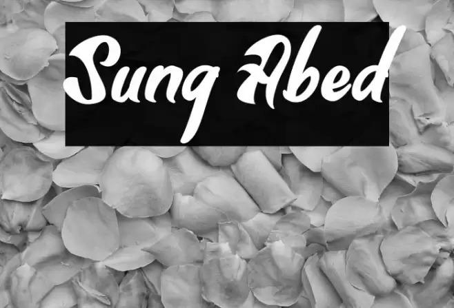 Sung Abed Font examples