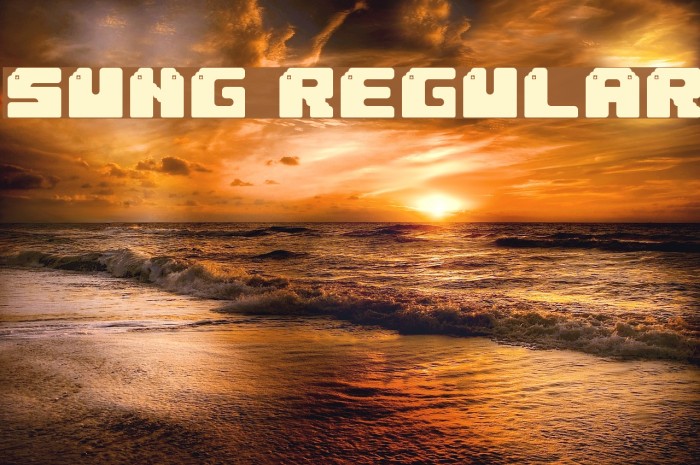 Sung Regular Font examples
