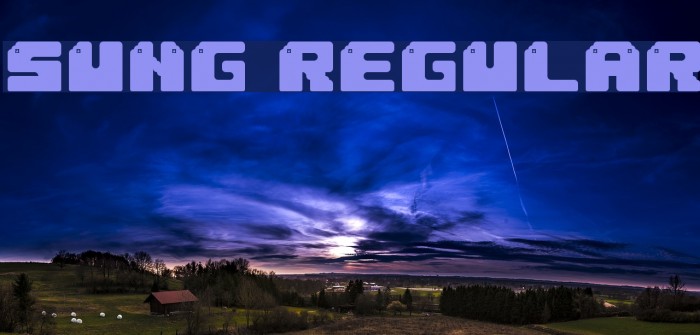 Sung Regular Font examples