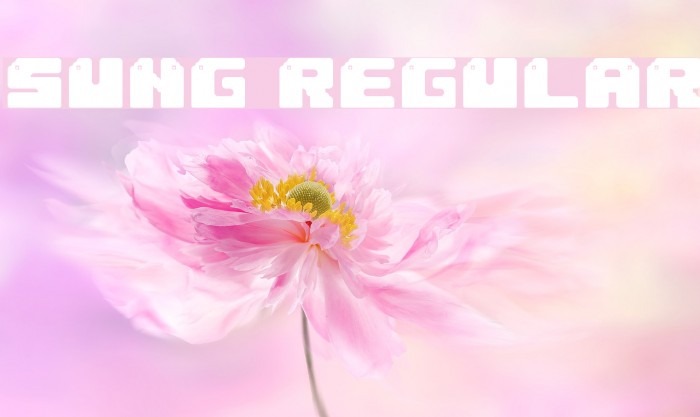 Sung Regular Font examples