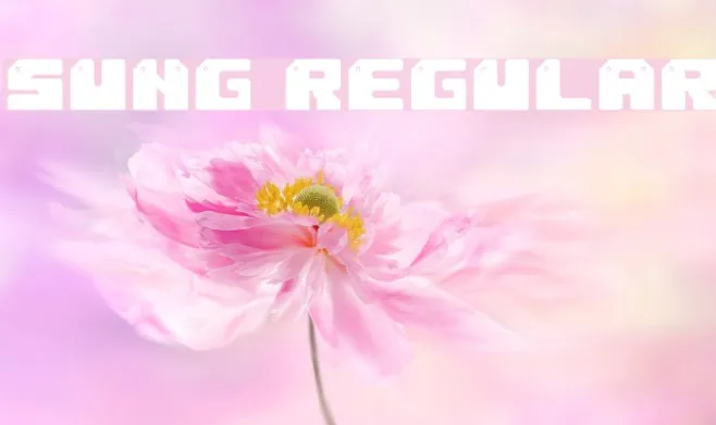 Sung Regular Example 3