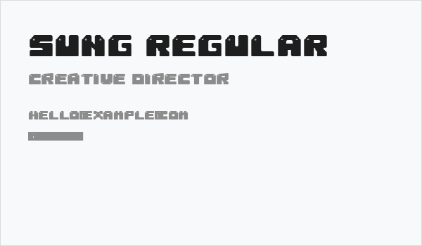 Sung Regular Business Card