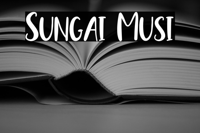 Sungai Musi Example 3