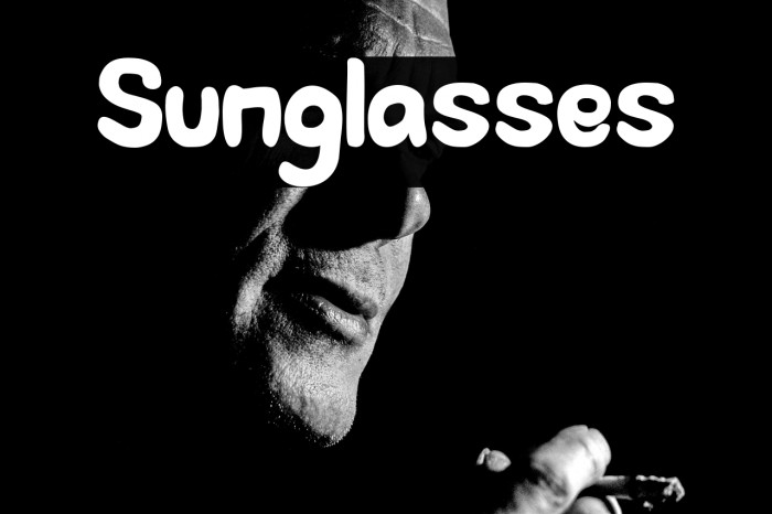 Sunglasses Example 3