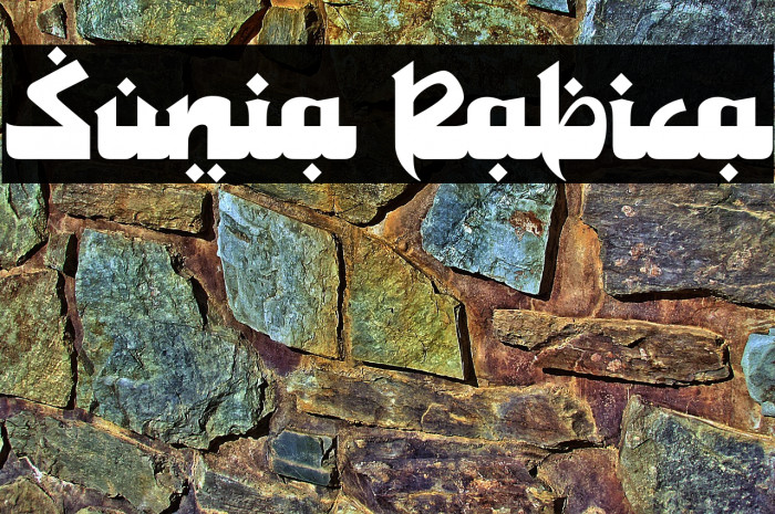 Sunia Rabica Example 1