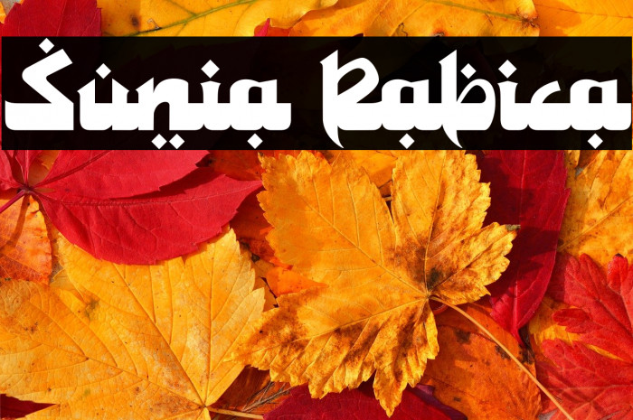 Sunia Rabica Example 2