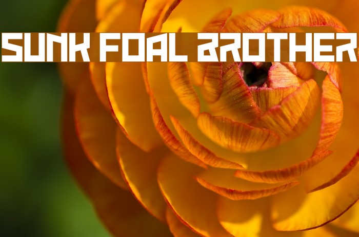 Sunk Foal Brother Font examples