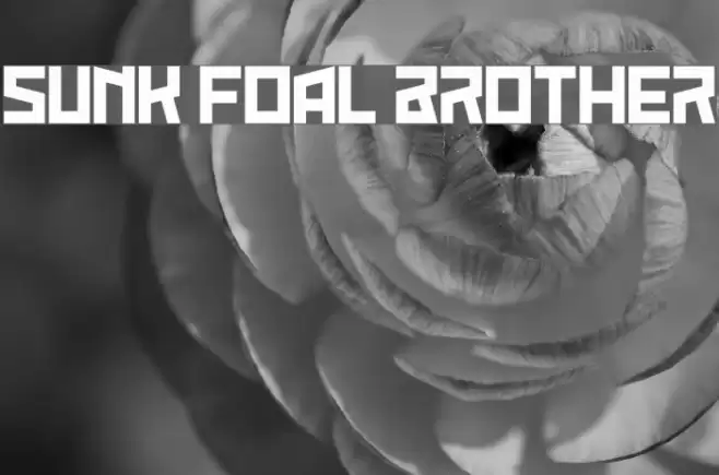 Sunk Foal Brother Font examples