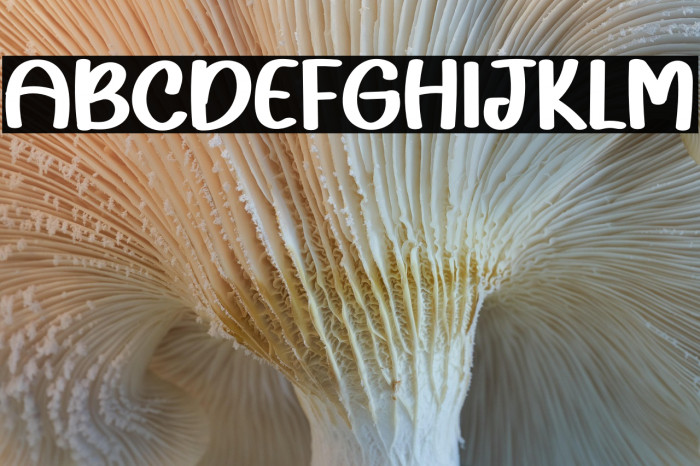 Sunkiss Farmhouse Example 1