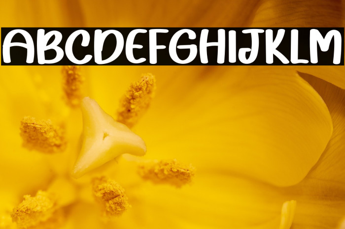 Sunkiss Farmhouse Example 2