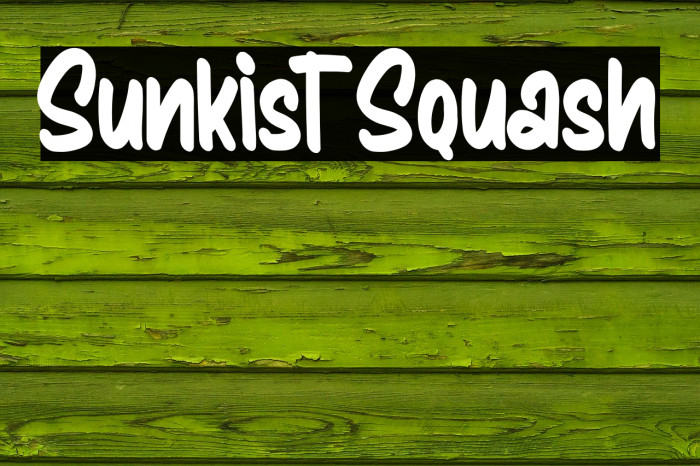 Sunkist Squash Font examples