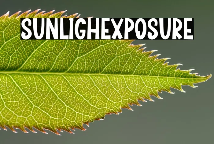 Sunlight  Exposure Example 3