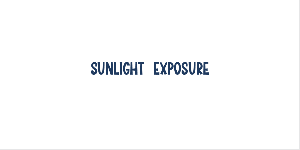 Sunlight  Exposure Logo
