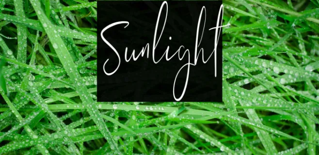 Sunlight Example 1