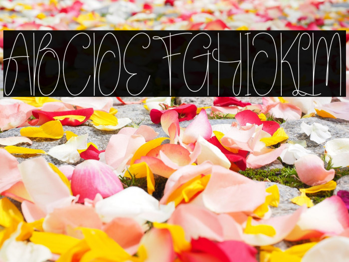 Sunlightmorning Example 1