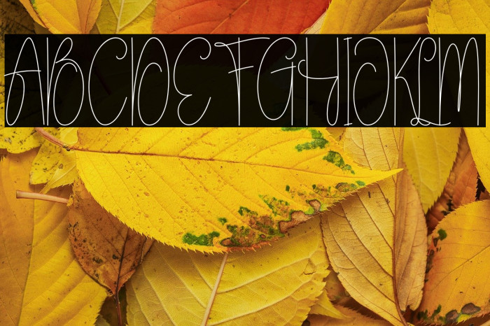 Sunlightmorning Example 2