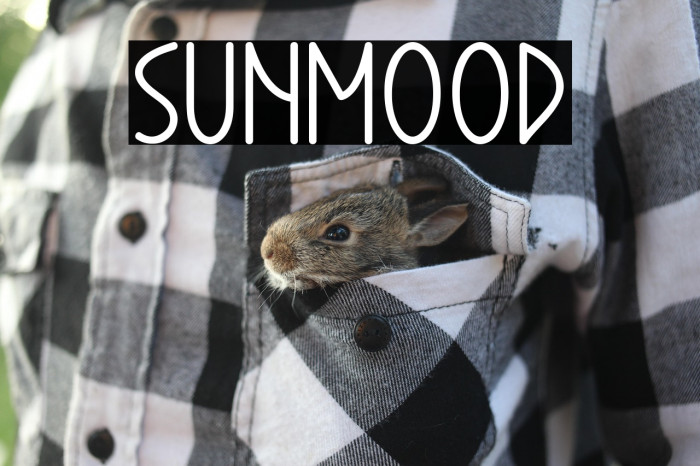 Sunmood Example 1