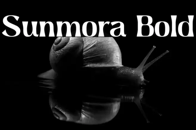 Sunmora Bold Font examples