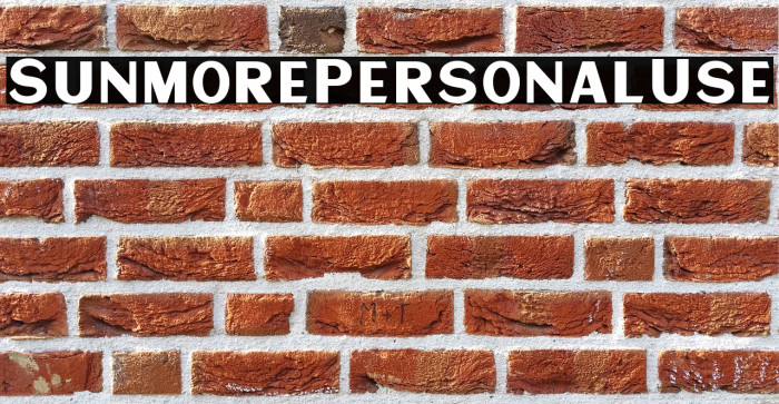 SunmorePersonalUse Example 1