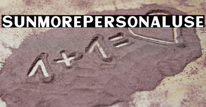 SunmorePersonalUse Example 2