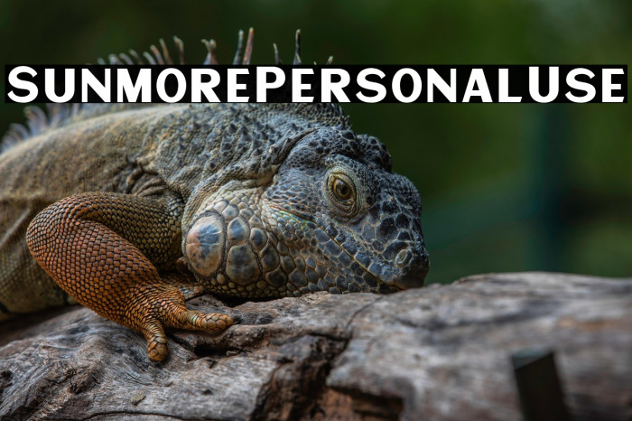 SunmorePersonalUse Example 3