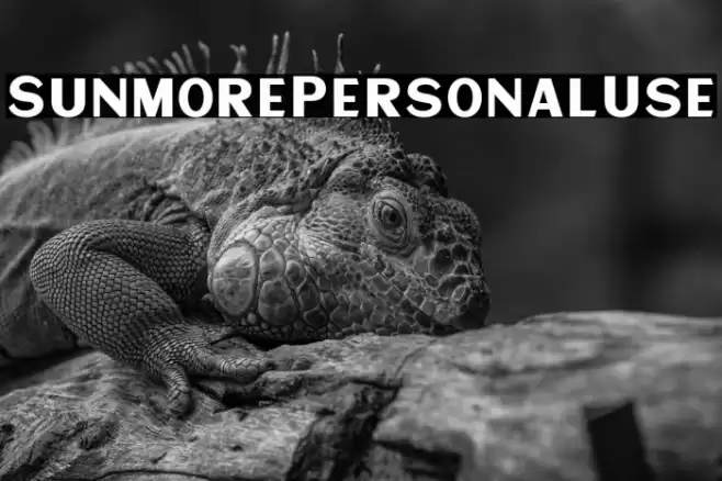 SunmorePersonalUse Font examples