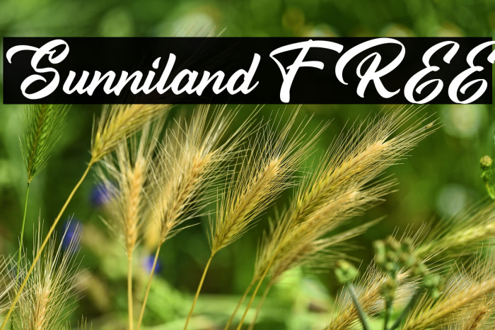 Sunniland FREE Example 3