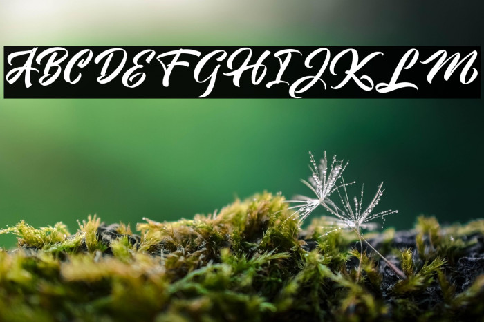 SunnilandFREE Example 2